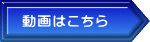動画はこちら